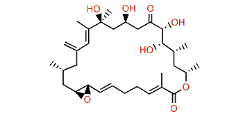 Amphidinolide D